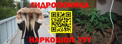 прущие крисы Шебекино