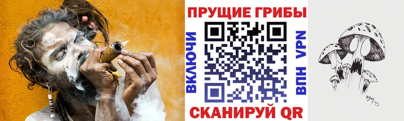 Псилоцибиновые грибы GOLDEN TEACHER Кисловодск