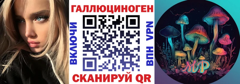 Псилоцибиновые грибы Psilocybe  дарк нет состав  Кисловодск  где найти  