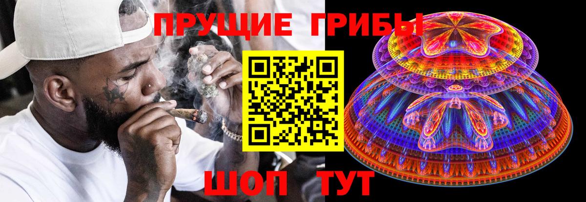 Галлюциногенные грибы мицелий  Вход с VPN  Кисловодск 