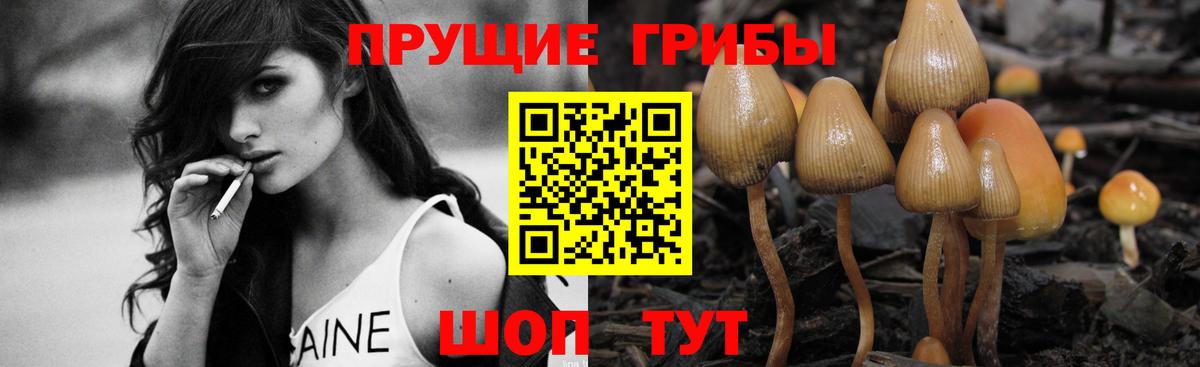Галлюциногенные грибы GOLDEN TEACHER Кисловодск