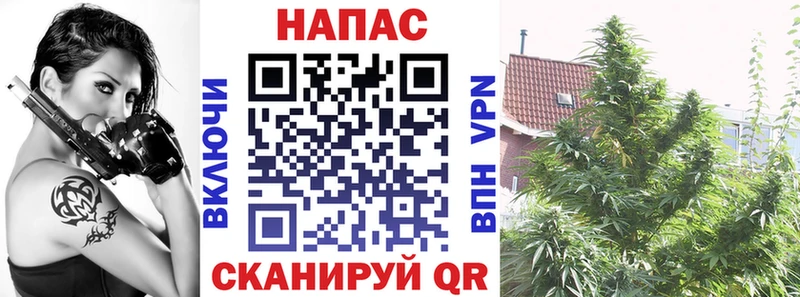 купить   Кисловодск  ОМГ ОМГ зеркало  Бошки Шишки THC 21% 